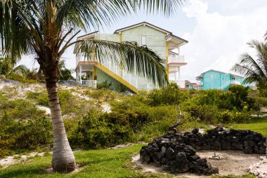 Büyük palmiye ağaçları ve iki evin önündeki siyah taşlardan yapılmış bahçe süslemeleri.
