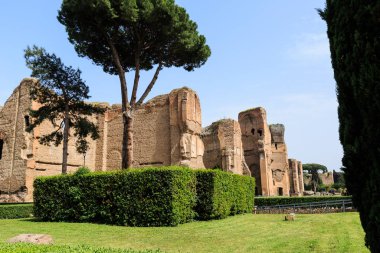 Roma 'daki Terme di Caracalla' nın manzarası. Şemsiye çamları engin yıkıntılar arasında