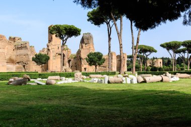 Roma 'daki Terme di Caracalla' nın manzarası. Şemsiye çamları engin yıkıntılar arasında