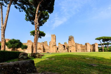 Roma 'daki Terme di Caracalla manzarası. Şemsiye çamları yıkılmak üzere.