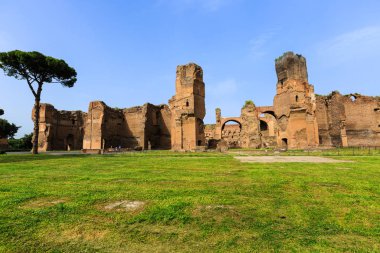 Roma 'daki Terme di Caracalla manzarası. Şemsiye çamları yıkılmak üzere.