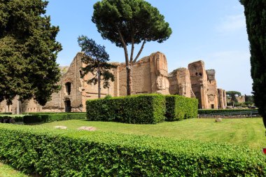 Roma 'daki Terme di Caracalla' nın manzarası. Şemsiye çamları engin yıkıntılar arasında