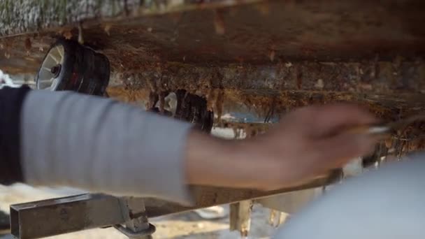 Рыбак очищает дно лодки от мертвых раковин, раковин и водорослей — стоковое видео