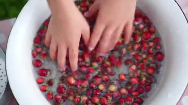 Childs lava a mano piccole fragole in ciotola. Mette bacche nette in un colabrodo — Video Stock