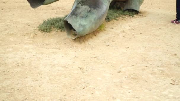 Туристы осматривают и трогают скульптуру Икара в Долине Храмов — стоковое видео