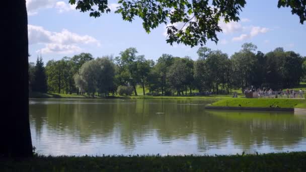 Turisté procházka na břehu Velkého rybníka v Alexandrovsky parku, krmení kachen — Stock video