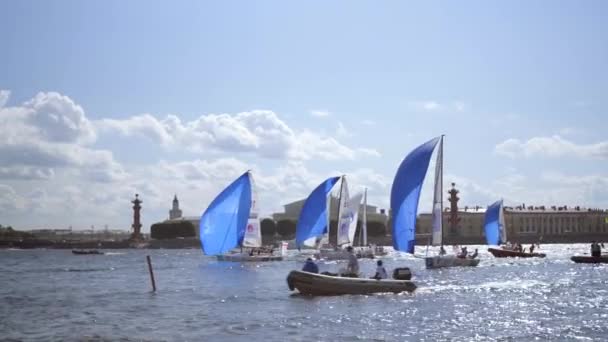 Internationale zeilkampioenen competitie, zeilwedstrijd in Sint-Petersburg — Stockvideo