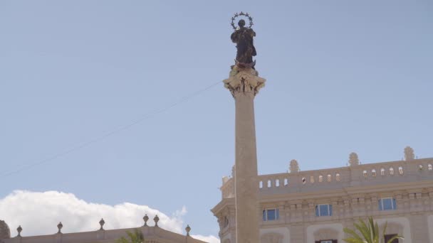 Column of the Immaculate Conception in Palermo — Stock Video