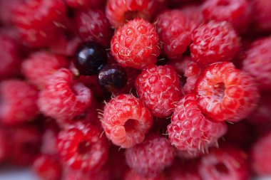 Taze taze toplanmış kırmızı ahududu ve iki böğürtlen kuşüzümü.