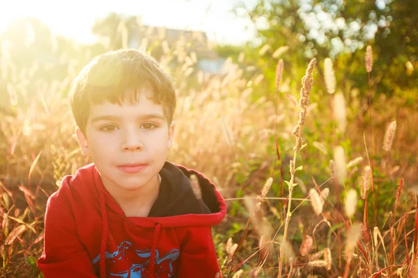 Portrait Five Year Old Boy Sunset Field Ears Dry — Stock Photo, Image