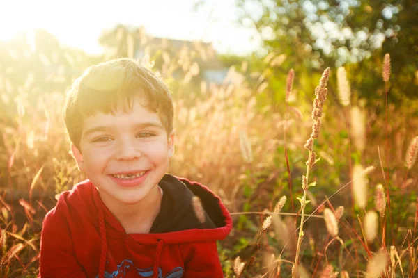 耳の間の畑の夕日で5歳の少年の肖像画乾燥 — ストック写真