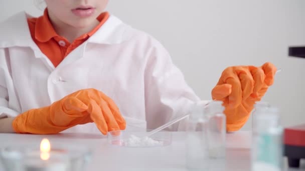 Niño de 9 años vierte sal desconocida y combustible seco en una placa de Petri, los mezcla — Vídeo de stock