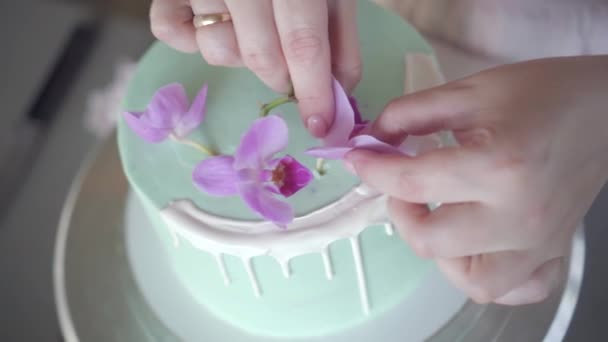 Konditor dekoriert türkisfarbene Hochzeitstorte mit rosa Orchidee — Stockvideo