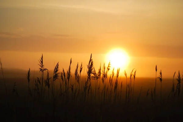 Lever du soleil le matin, lever du soleil dans les champs. Roumanie — Photo