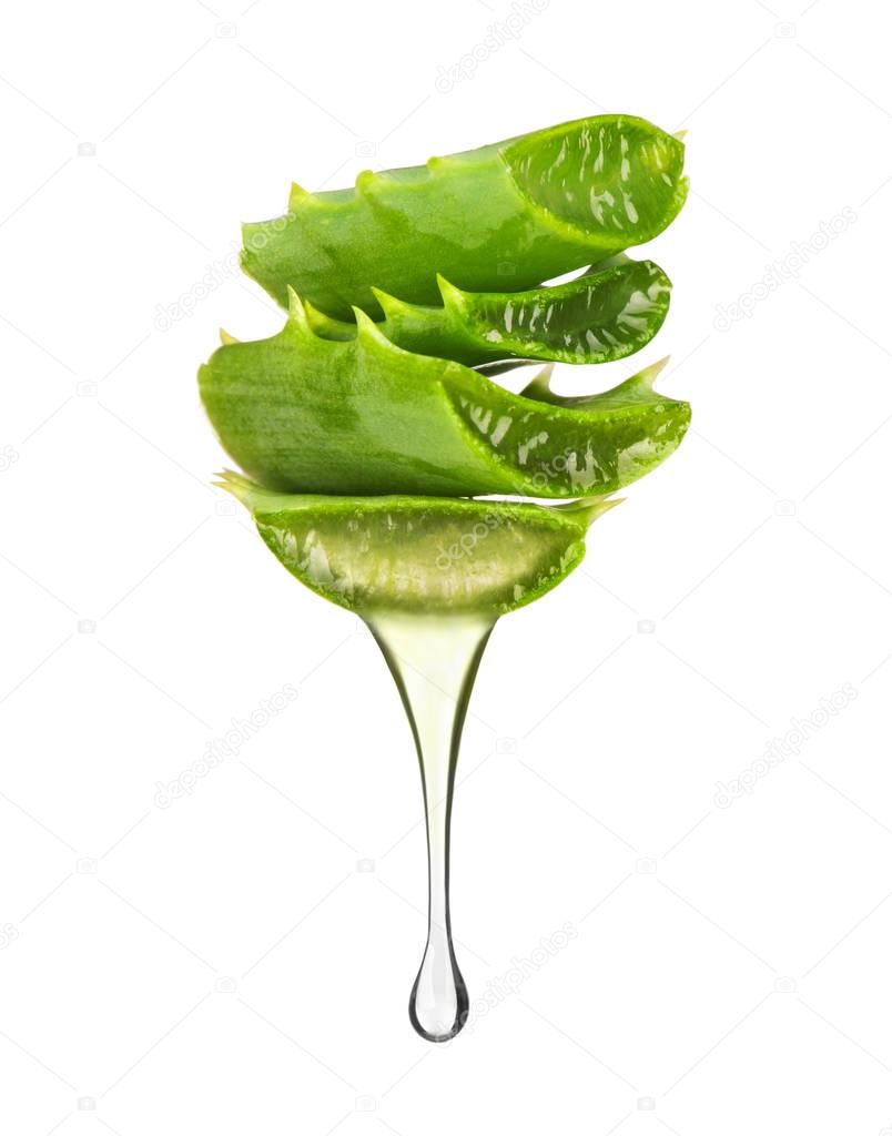 Essence from aloe vera plant dripping from leaves on white 