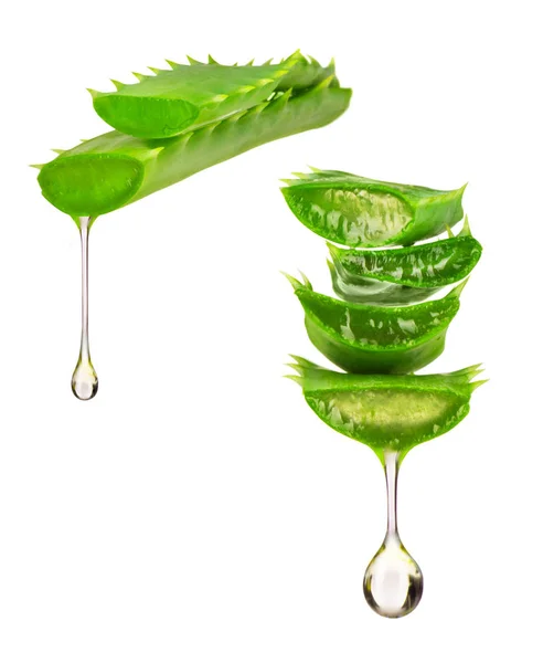Essence from aloe vera plant drips from the leaves on white back — Stok Foto