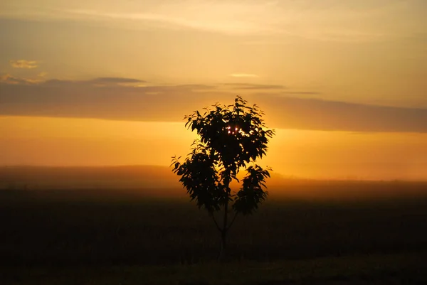 Lever du soleil le matin, lever du soleil dans les champs — Photo