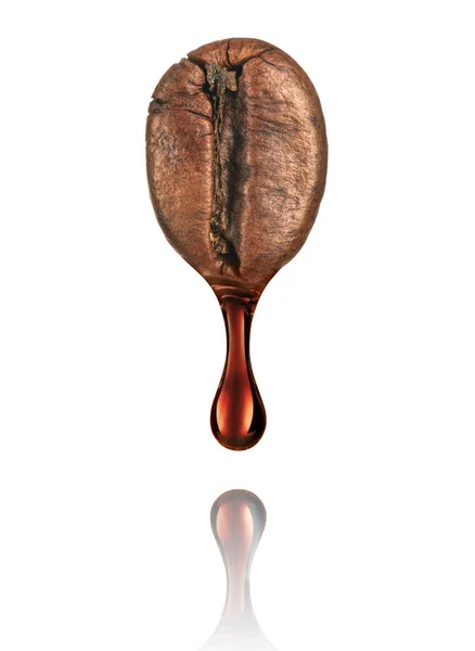 Drop of coffee dripping from coffee seed isolated on white backg — Stock Photo, Image