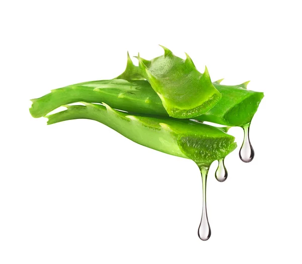 Esensi dari tanaman aloe vera menetes dari daun, terisolasi pada whit — Stok Foto