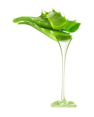 Şeffaf özü aloe vera bitki yapraklarından damlar