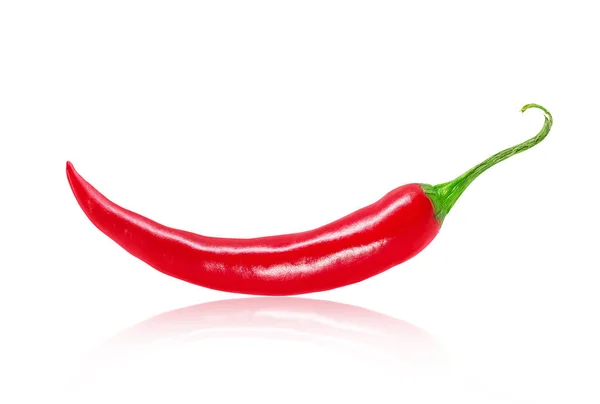 Rrefined verse chili peper close-up geïsoleerd op witte achtergrond — Stockfoto