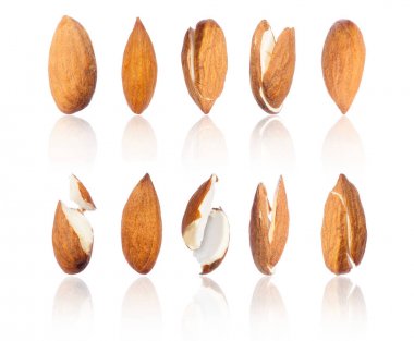 Farklı pozisyonlar yakın çekim badem kümesi