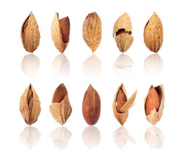 Set of almonds in shell close-up, isolated on white background clipart
