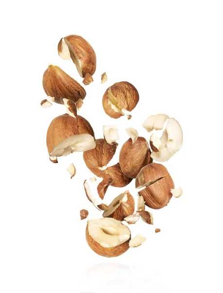 Kacang hazelnut beku acak di udara pada latar belakang putih — Stok Foto