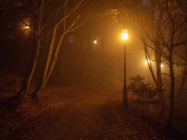 Şehir parkı sabahın erken saatlerinde yoğun sisle kaplıydı.