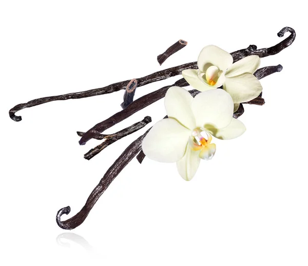 Suszone Patyki Waniliowe Kwiatami Powietrzu Izolowane Białym Tle — Zdjęcie stockowe