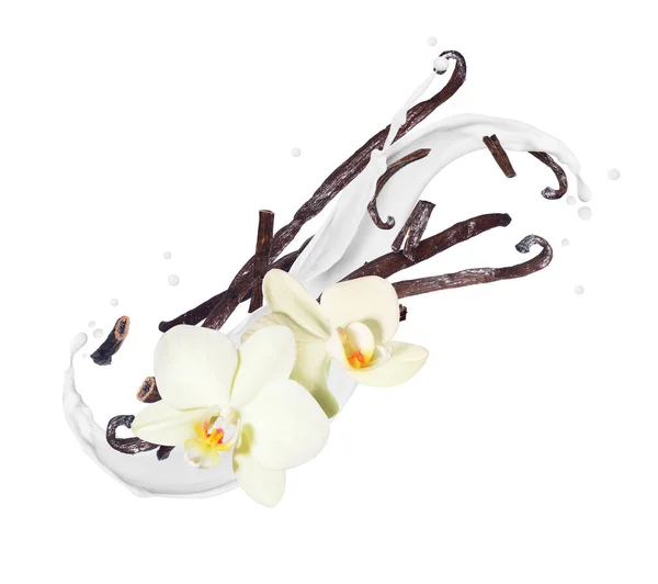 Pachnące Suszone Paluszki Waniliowe Kwiatem Rozpryskach Mleka Białym Tle — Zdjęcie stockowe