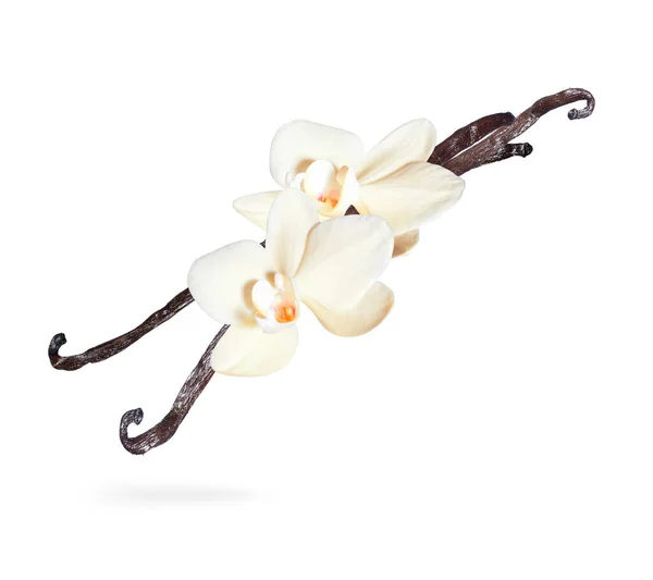 Gedroogde Vanillestokjes Met Bloemen Bevroren Lucht Een Witte Achtergrond — Stockfoto