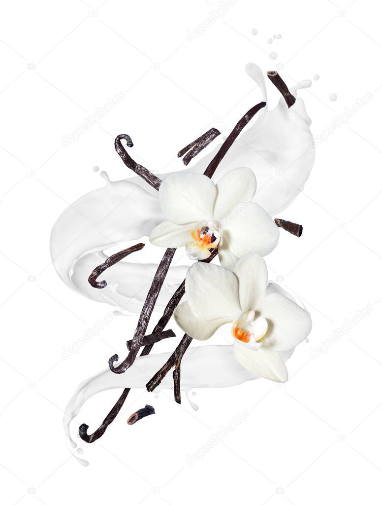 Dried vanilla sticks with flowers in twisted milk splashes on a white background