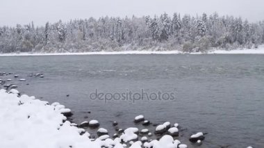 Havadan görünümü. Güzel kış nehir ve snowy orman üzerinde uçuş. Kış doğada. Manzara panorama. Altay, Sibirya. 