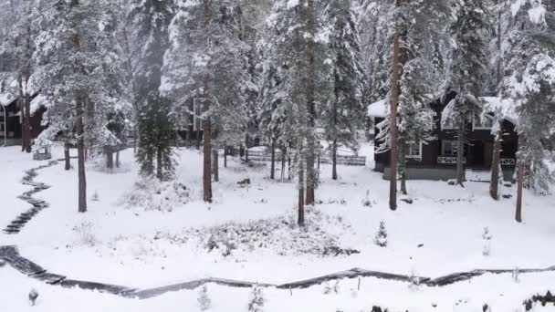 Luchtfoto. Huizen in het bos in de winter. Vlucht in het besneeuwde bos. Natuur in de winter. Landschap panorama. Altaj, Siberië. — Stockvideo