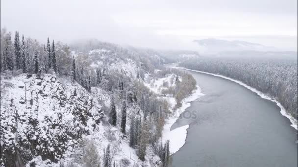 空撮。美しい冬の川と雪に覆われた森以上のフライト。冬の自然。風景パノラマ。アルタイ、シベリア. — ストック動画