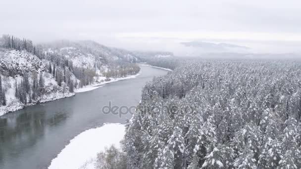 Εναέρια άποψη. Πτήση πάνω από το όμορφο χειμώνα στον ποταμό και χιονισμένο δάσος. Φύση χειμώνα. Πανόραμα τοπίο. Αλτάι, Σιβηρία. — Αρχείο Βίντεο