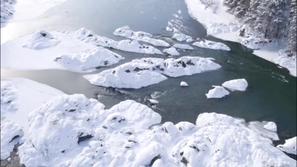 Luchtfoto. Vlucht boven het prachtige winter-rivier en de besneeuwde forest. Natuur in de winter. Landschap panorama. Altaj, Siberië. — Stockvideo