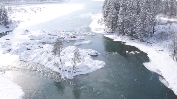 Vue Aérienne. Survolez la belle rivière d'hiver et la forêt enneigée. Nature en hiver. Panorama paysager. Altaï, Sibérie .
