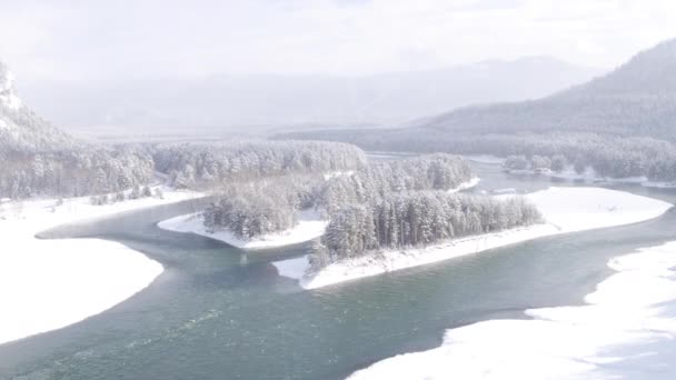 Vista aérea. Vuelo sobre el hermoso río de invierno y el bosque nevado. Naturaleza en invierno. Paisaje panorámico. Altai, Siberia . — Vídeo de stock