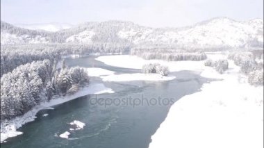 Havadan görünümü. Güzel kış nehir ve snowy orman üzerinde uçuş. Kış doğada. Manzara panorama. Altay, Sibirya.