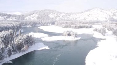 Havadan görünümü. Güzel kış nehir ve snowy orman üzerinde uçuş. Kış doğada. Manzara panorama. Altay, Sibirya.