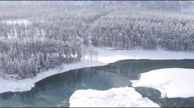 Havadan görünümü. Güzel kış nehir ve snowy orman üzerinde uçuş. Kış doğada. Manzara panorama. Altay, Sibirya.