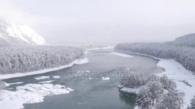 Havadan görünümü. Güzel kış nehir ve snowy orman üzerinde uçuş. Kış doğada. Manzara panorama. Altay, Sibirya.