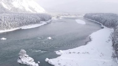 Havadan görünümü. Güzel kış nehir ve snowy orman üzerinde uçuş. Kış doğada. Manzara panorama. Altay, Sibirya.