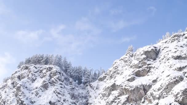 Vista aérea. Las hermosas montañas de invierno y el bosque nevado. Naturaleza en invierno. Paisaje panorámico. Altai, Siberia . — Vídeo de stock