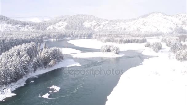 空撮。美しい冬の川と雪に覆われた森以上のフライト。冬の自然。風景パノラマ。アルタイ、シベリア. — ストック動画