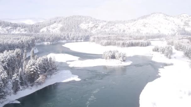 Aerial View. Flight over the beautiful winter river and snowy forest. Nature in winter. Landscape panorama. Altai, Siberia. — Stock Video