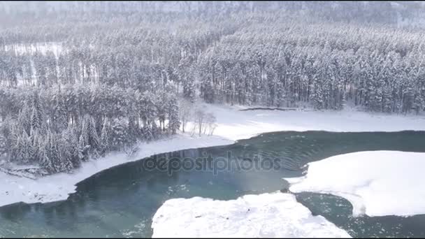 Vista aérea. Vuelo sobre el hermoso río de invierno y el bosque nevado. Naturaleza en invierno. Paisaje panorámico. Altai, Siberia . — Vídeos de Stock