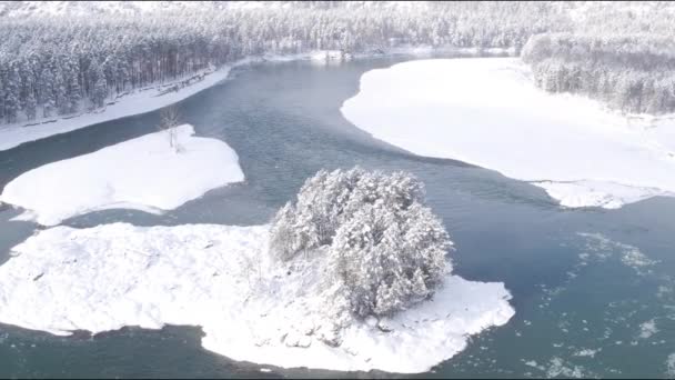 Vue Aérienne. Survolez la belle rivière d'hiver et la forêt enneigée. Nature en hiver. Panorama paysager. Altaï, Sibérie .